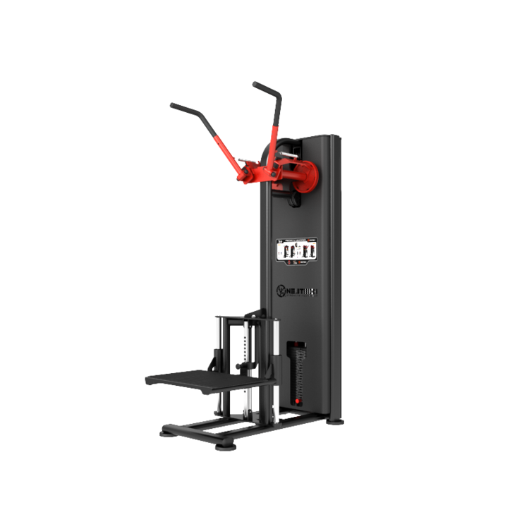 Standing Fly Chest & Back