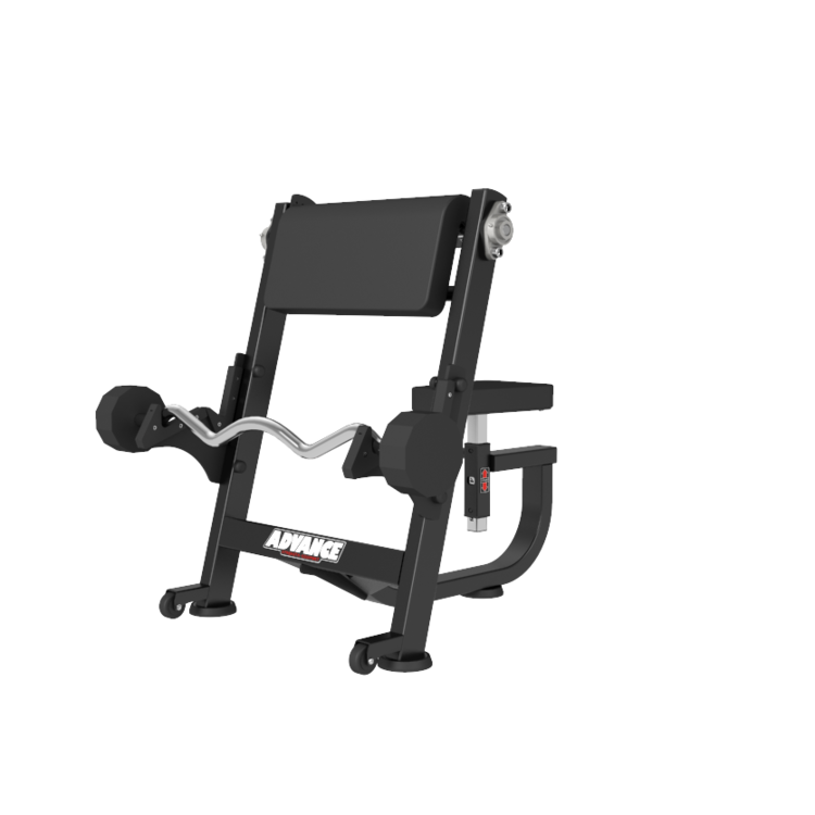 Preacher Curl Bench