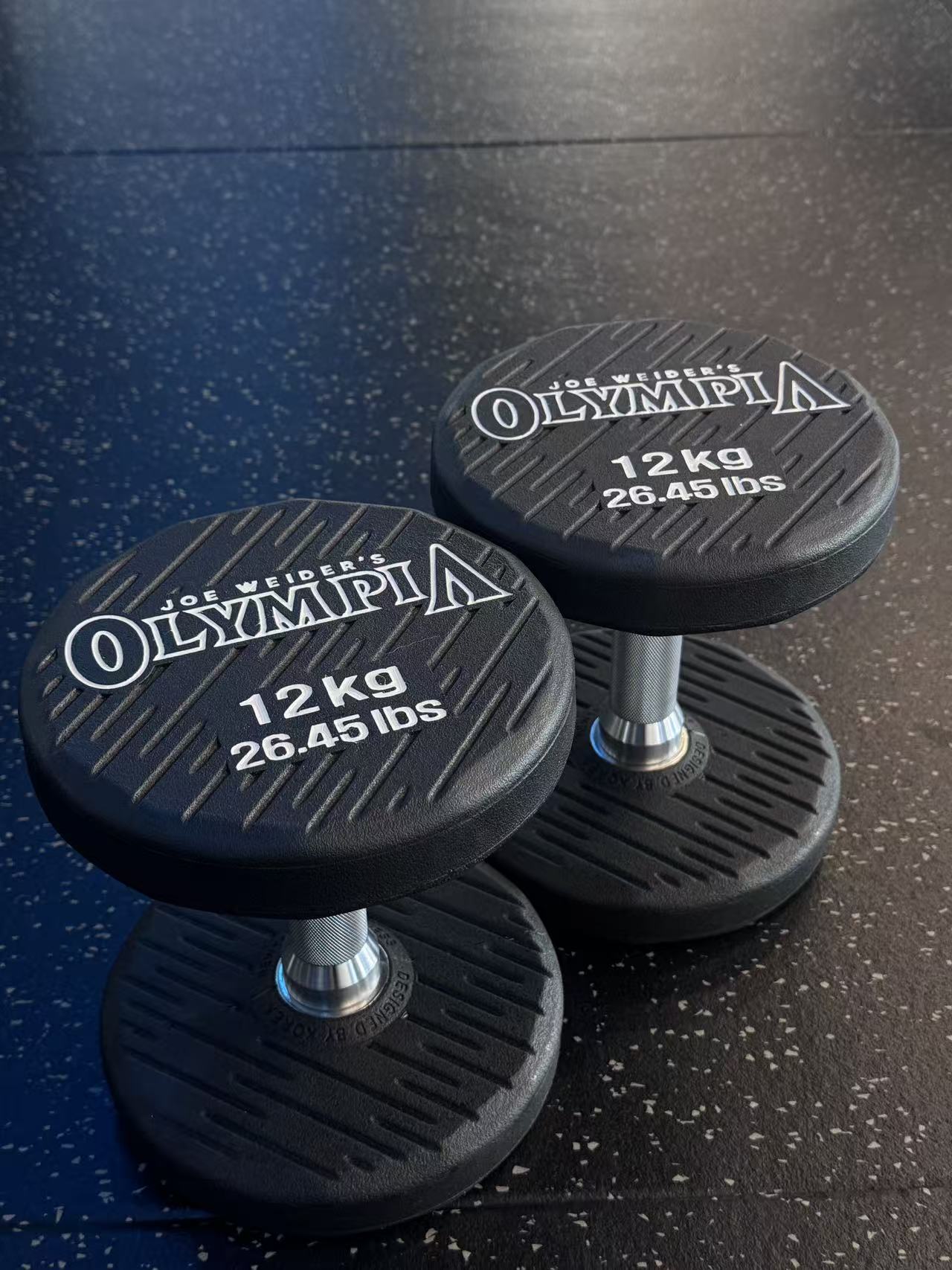 Mr. Olympia 12KG Dumbbell