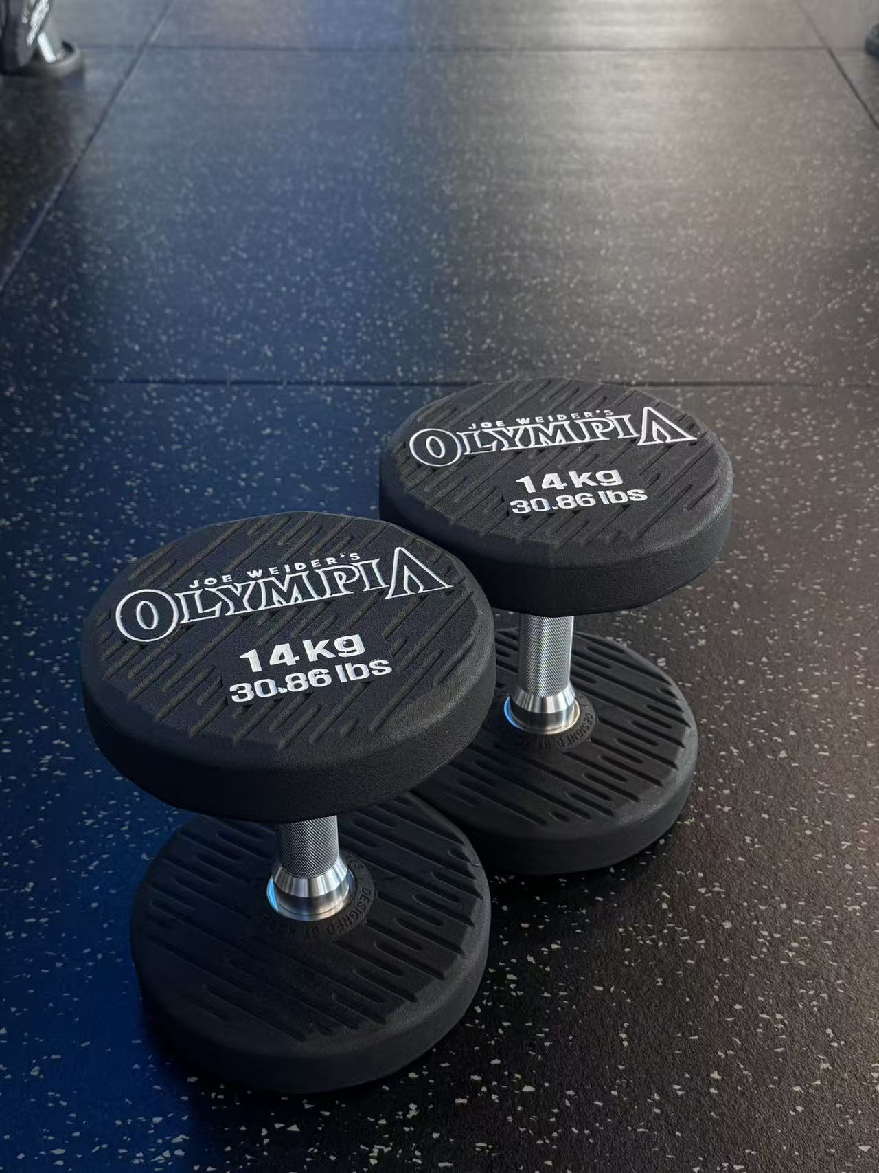 Mr. Olympia 14KG Dumbbell