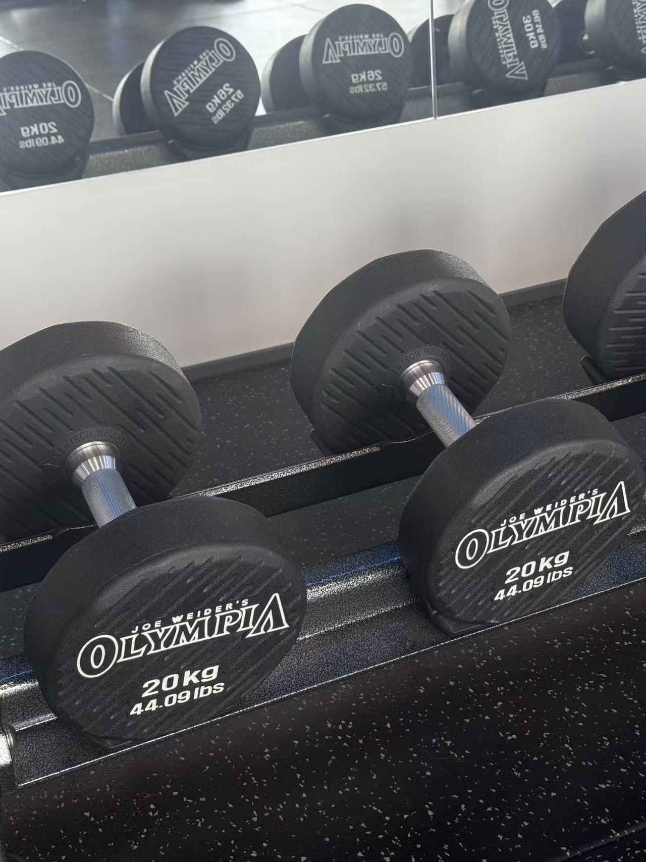 Mr. Olympia 20KG Dumbbell
