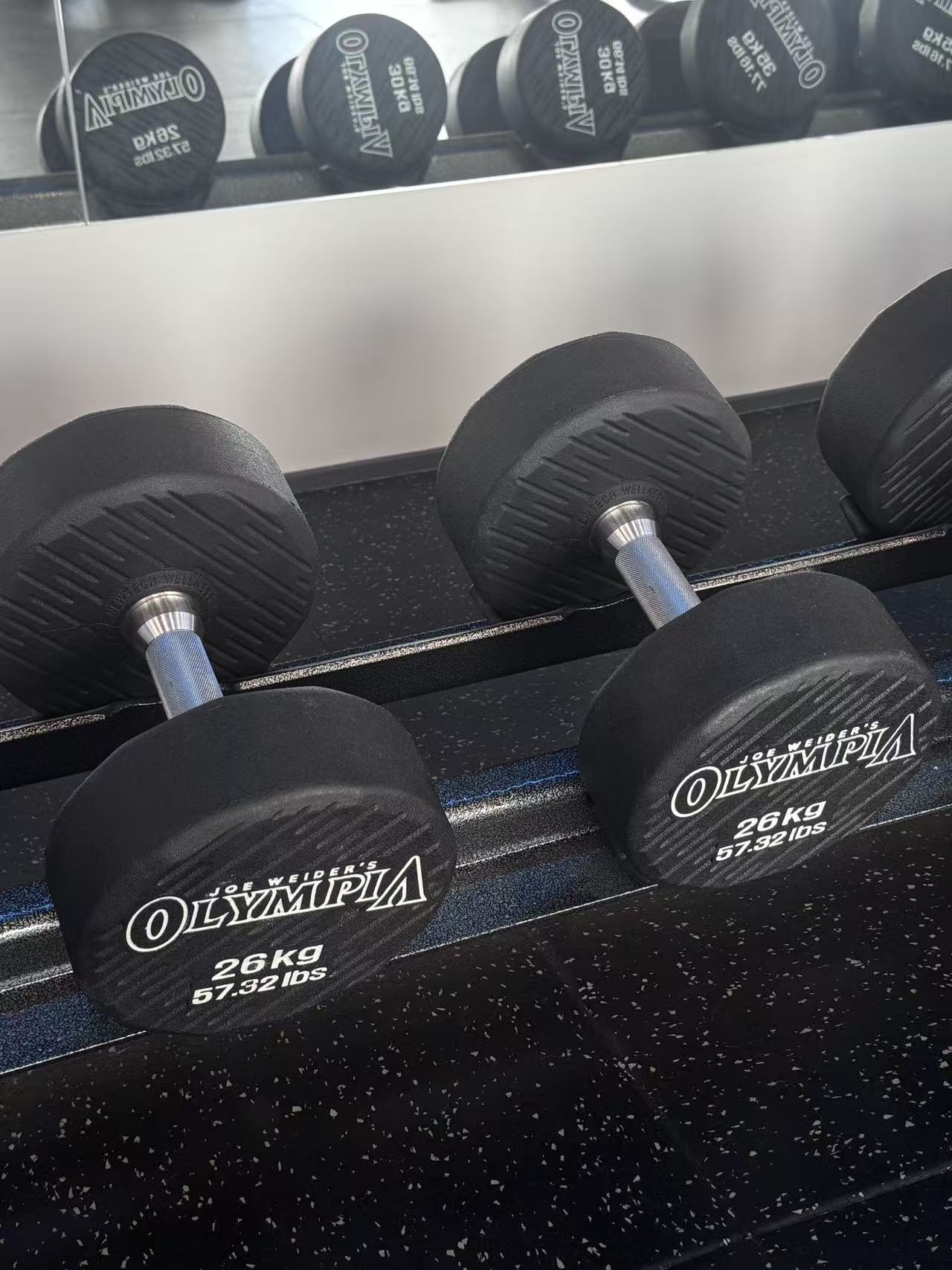 Mr. Olympia 26KG Dumbbell